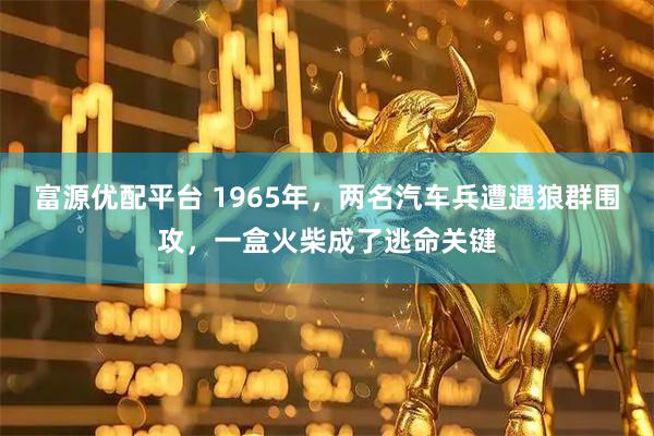 富源优配平台 1965年，两名汽车兵遭遇狼群围攻，一盒火柴成了逃命关键