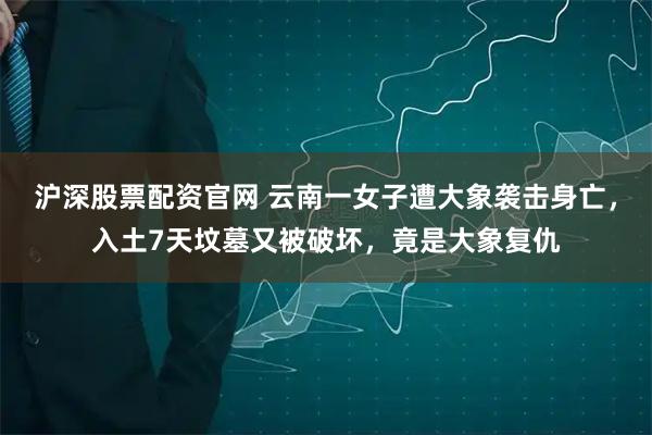 沪深股票配资官网 云南一女子遭大象袭击身亡，入土7天坟墓又被破坏，竟是大象复仇